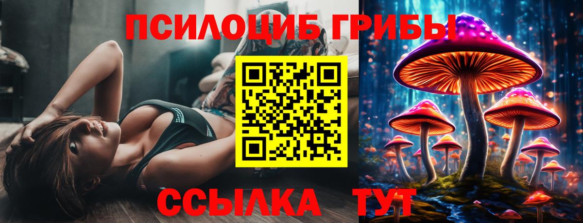 Псилоцибиновые грибы прущие грибы Кувандык
