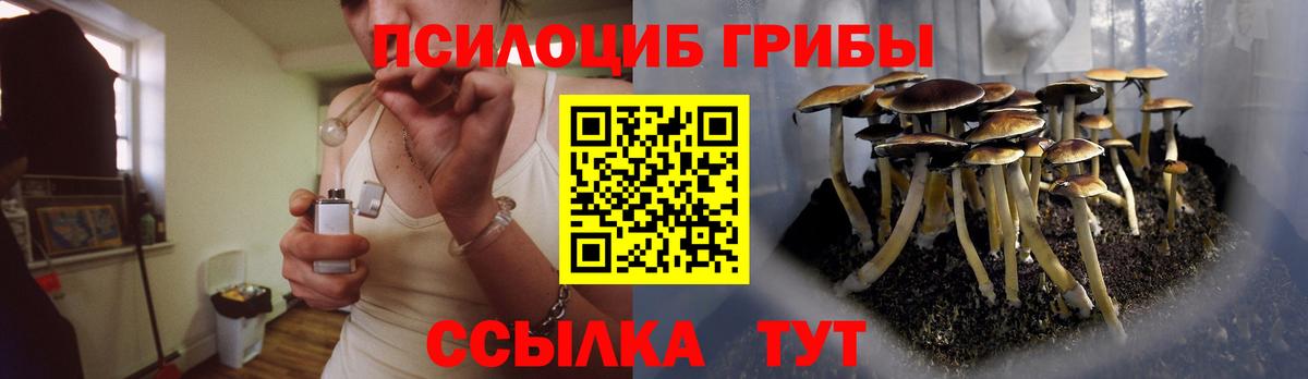 Галлюциногенные грибы Cubensis  Вход с VPN  Галлюциногенные грибы мицелий  Кувандык 